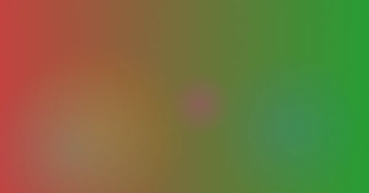九百九十九朵玫瑰对比复盘